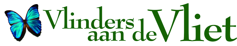 Vlinders aan de Vliet