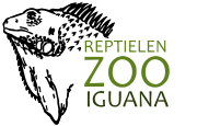 Reptielenzoo Iguana