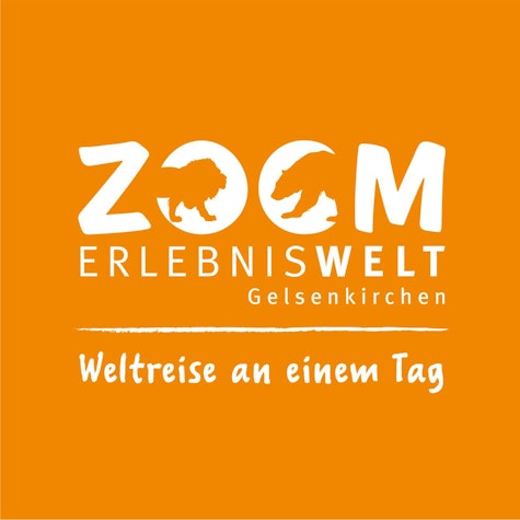 ZOOM Erlebniswelt