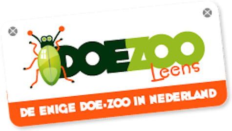 DoeZoo Insektenwereld